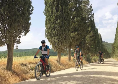 Val d'Orcia in bici | Castiglione