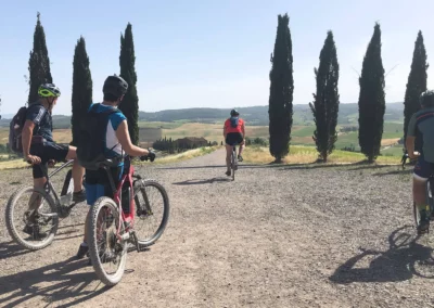 Val d'Orcia in bici | Cipressi di San Quirico