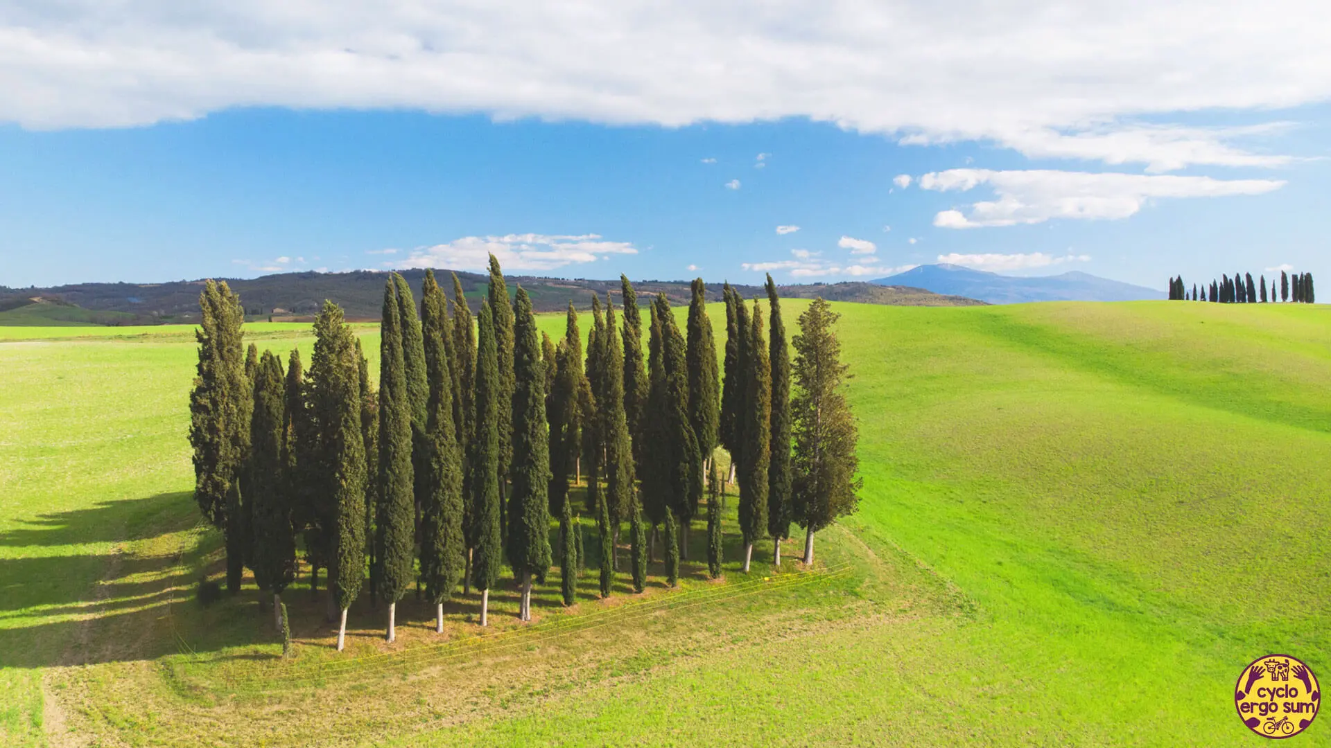 Val d'Orcia gravel | Cipressi di San Quirico con colori spaziali