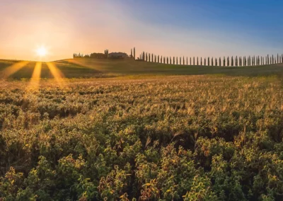 Val d'Orcia in bici | Tramonto