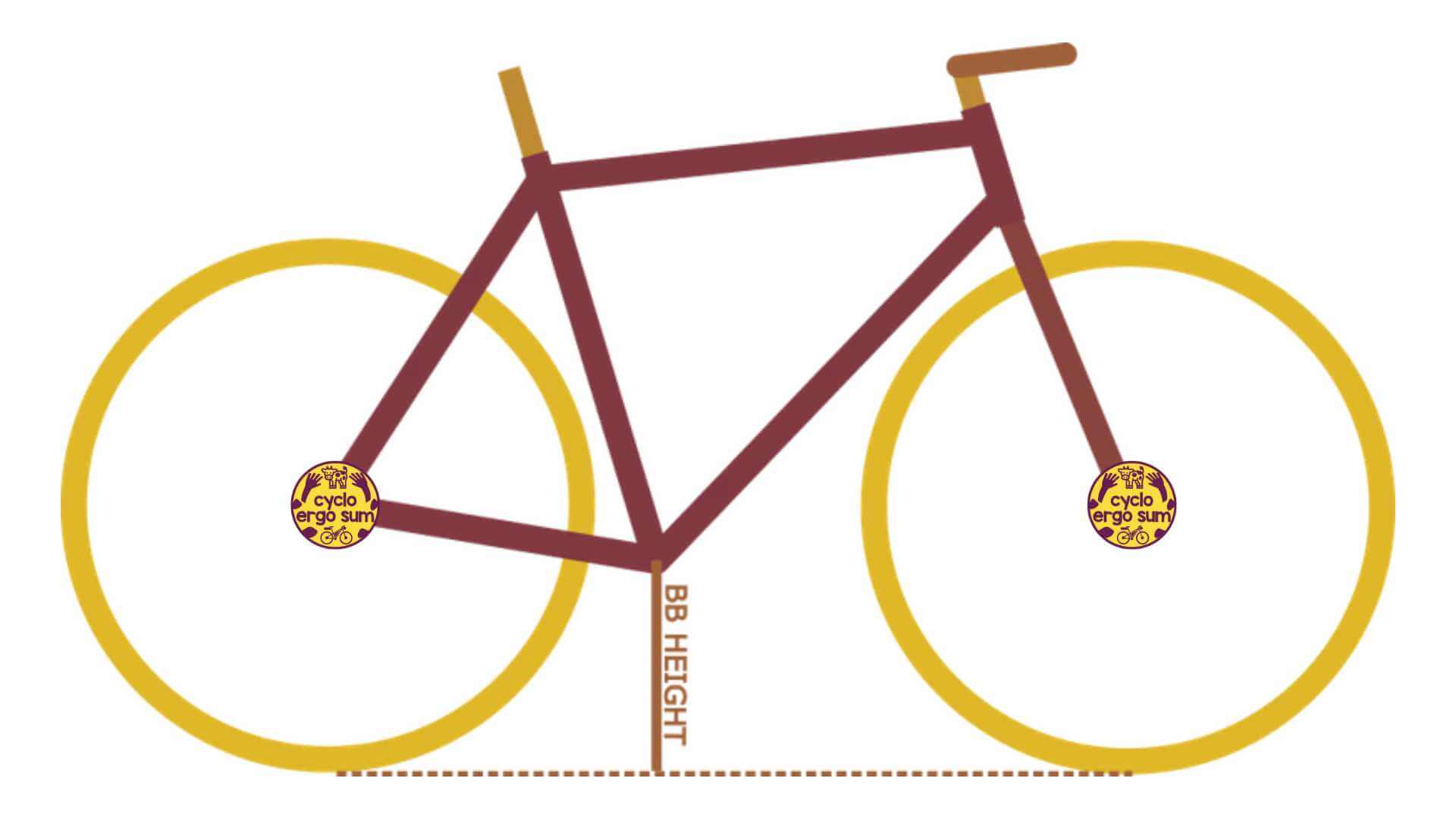 Geometria della bici | BB Height