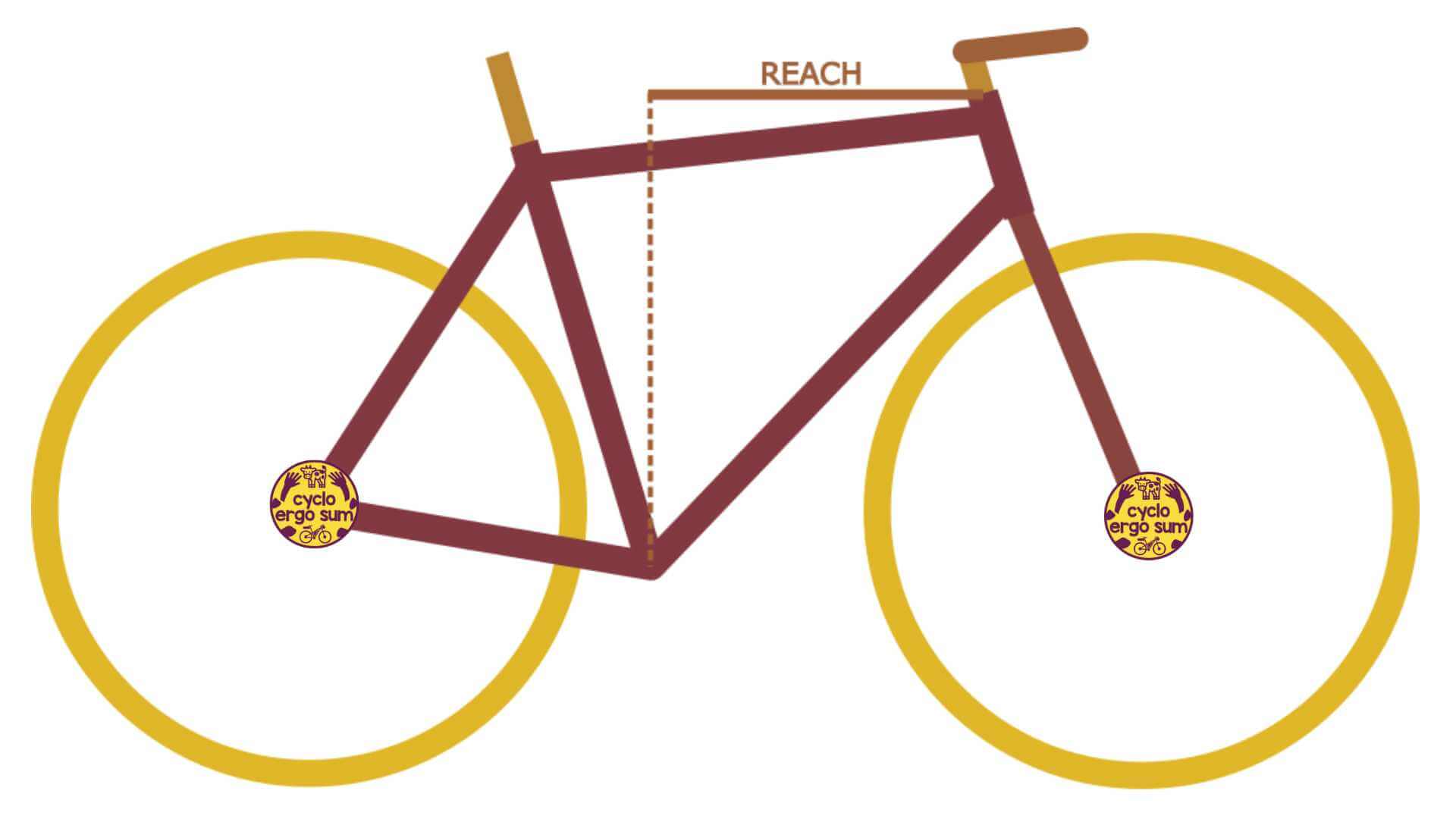 Geometria della bici | Reach